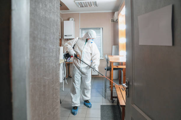 Best Residential Mold Inspection & Testing  in Maplewood, MN