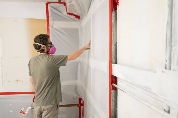 Best Post-Remediation Verification Testing  in Maplewood, MN