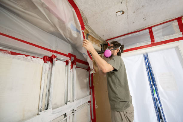 Best Mold Odor Removal Services  in Maplewood, MN