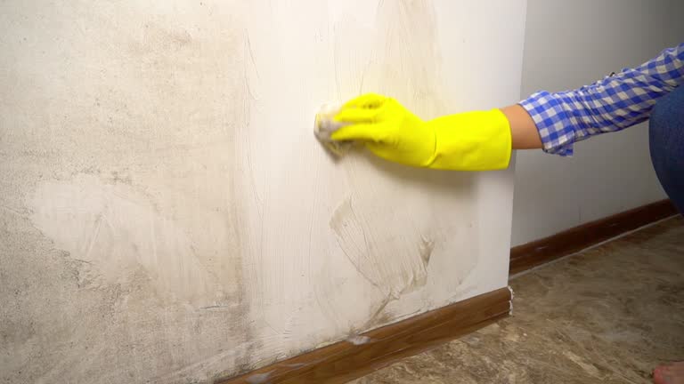 Best Mold-Related Health Consultation  in Maplewood, MN