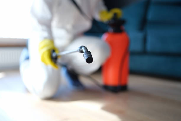 Best Post-Construction Mold Inspection  in Maplewood, MN