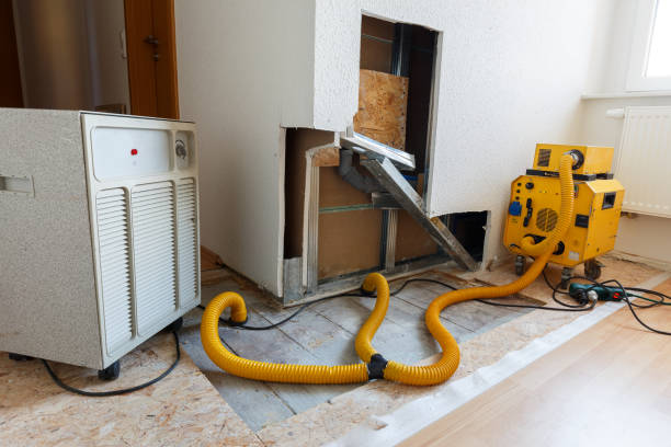 Best Forensic Mold Investigation  in Maplewood, MN